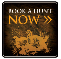 Book a hunt now.