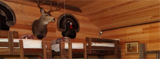Bunk Beds in Lodge